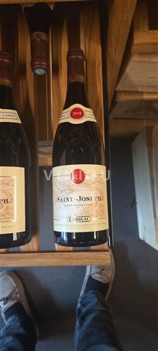 Lugina e Ronës Shën Jozefi Guigal 2018