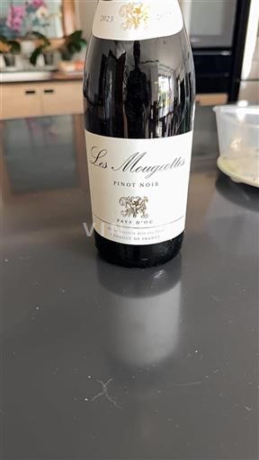 Languedoc ja Roussillon Pays d'Oc Les Mougeottes Pinot Noir 2023