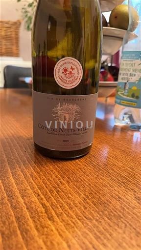 Bourgogne Côte de Nuits-Villages Domaine Panstot 2022