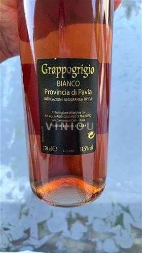 Lombardy Wines Unspecified Az. Agr. Maggi Giuliano di Maurizio Grappogrigio Non-Vintage
