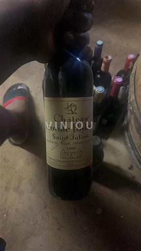 Bordéus Saint-Julien Grand Cru Léoville Poyferré 1990