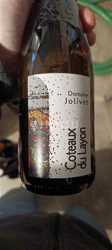 Thung lũng sông Loire Coteaux-du-layon Domaine Jolivet Không niên vụ