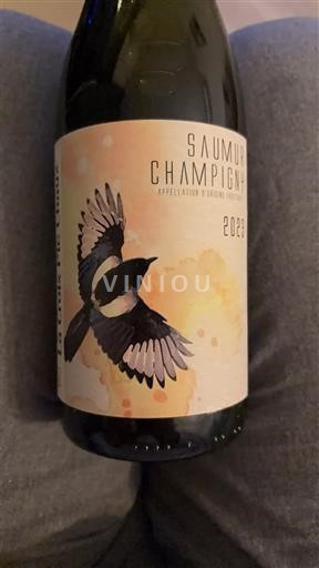 Loire-dalen Saumur-Champigny La Croix Pie Chaux 2023