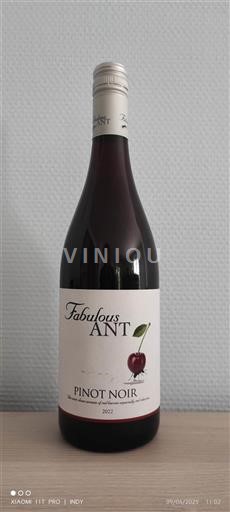 Alsasko Rulandské modré Fabulous Ant 2022