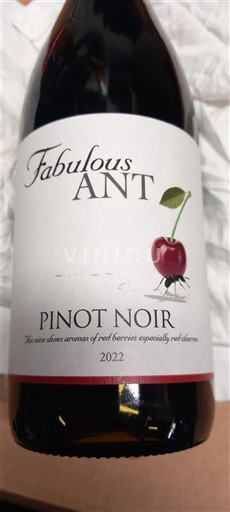 Elsass Pinot Noir Fabulous Ant 2022