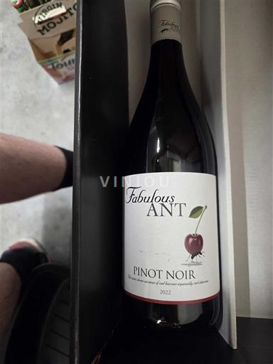 Alsacia Pinot noir Fabulous Ant 2022