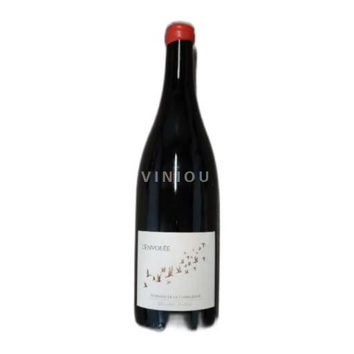Loire-dalen Saint-Nicolas-De-Bourgueil Domaine La Cotelleraie L'Envolée 2019