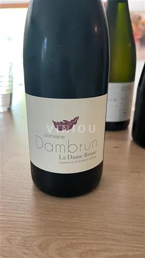 Jihozápad Nespecifikováno Domaine Damborun La Dame Brune 2016