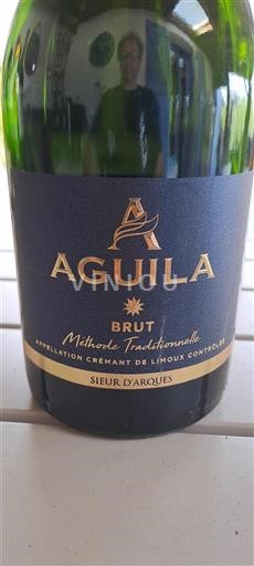 Languedoc No especificado Sieur Arques Aguila Sin añada