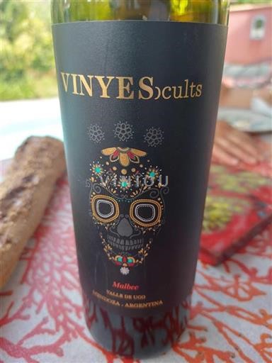 Mendoza Valle de Uco Vinyes Ocults Sin añada