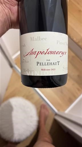 Vin Rouge sec Ampéloméryx Domaine Pellehaut 2023 France Sud-Ouest IGP