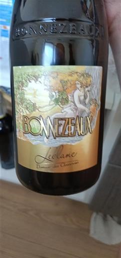 Loirevallei Bonnezeaux Domaine Des Chesnaies Léolane Niet-geïntegreerd