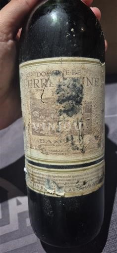 Provence Bandol Domaine Terrebrune 1999