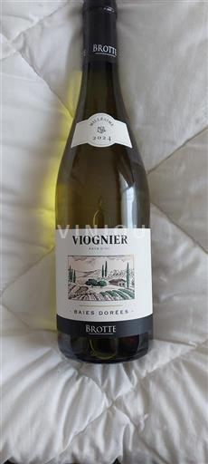 Languedoc og Roussillon Pays d'Oc Brotte Baies Dorées 2024
