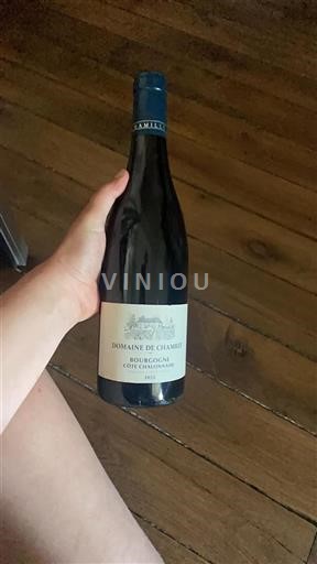 Borgogna Non specificato Domaine Chamilly 2022