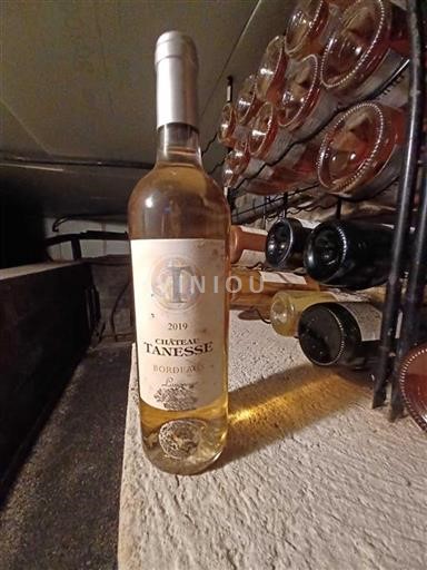 Bordéus Château Tanesse 2019