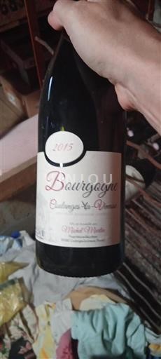 Burgund Bourgogne Coulanges-la-Vineuse Michel Martin 2015