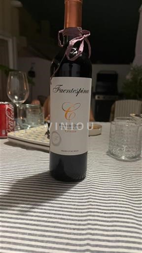 Kastilie a León Ribera del Duero Fuentespina Crianza 2022