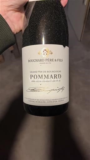 Burgundy Pommard Bouchard Père & Fils 2020