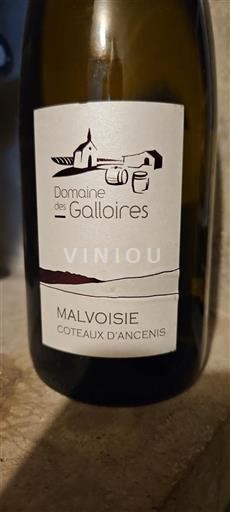 Údolí Loiry Coteaux-d'ancenis Domaine Des Galloires Malvoisie 2016