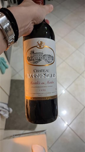 Vinos Rouge sec Château Chasse-Spleen 1996 Francia Burdeos Moulis-en-Médoc AOC