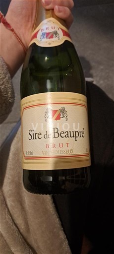 Peneča vina Blanc brut Sire de Beaupré Non millésimé Francija Šampanja Šampanjec AOC