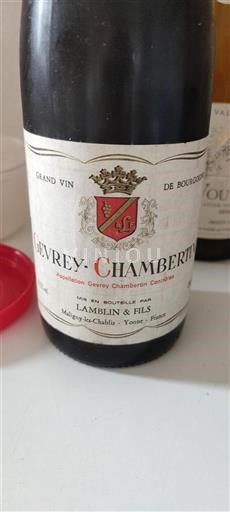 Borgogna Gevrey-Chambertin Lamblin & Fils 1989