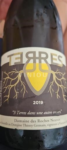 Valle della Loira Non specificato Domaine Des Roches Neuves Terres 2019
