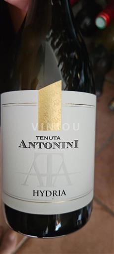 Tuscany Not Specified Tenuta Antonini Hydria 2023