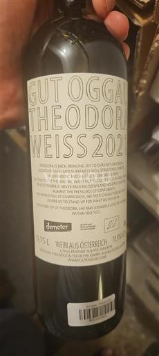 Gradišce Ni doloceno Gut Oggau Theodora Weiss 2021