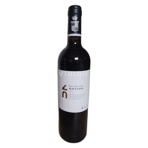 Bordeaux Antton 2020