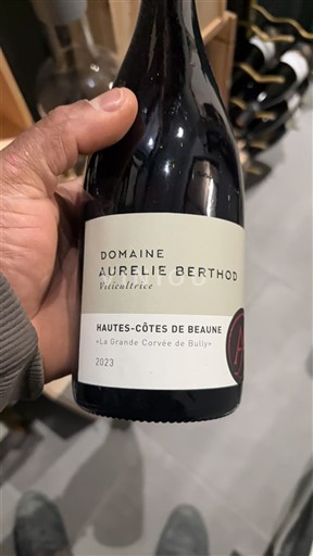 Burgundija Hautes Côtes de Beaune Domaine Aurélie Berthod La Grande Corvée de Bully 2023