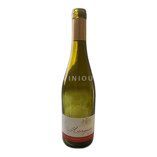 Vin Rouge sec Jean Claude Théodore 2023 France Beaujolais Morgon AOC