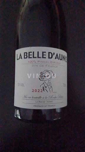 Valle della Loira Coteaux-du-loir Roche Bleue La Belle d'Aunis 2022