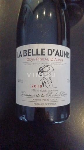 Valle della Loira Coteaux-du-loir Domaine La Roche Bleue La Belle d'Aunis 2019