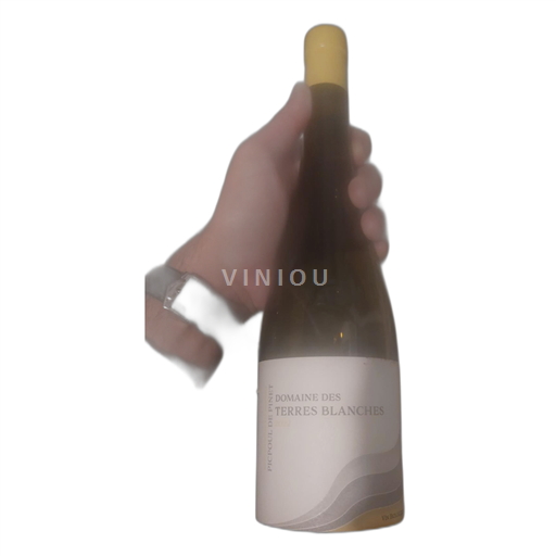 Languedoc Picpoul de Pinet Domaine Terres Blanches Sin añada