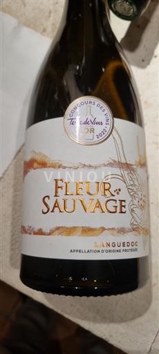 Languedoc a Roussillon Hérault Cave Sommièrois Fleur sauvage 2023