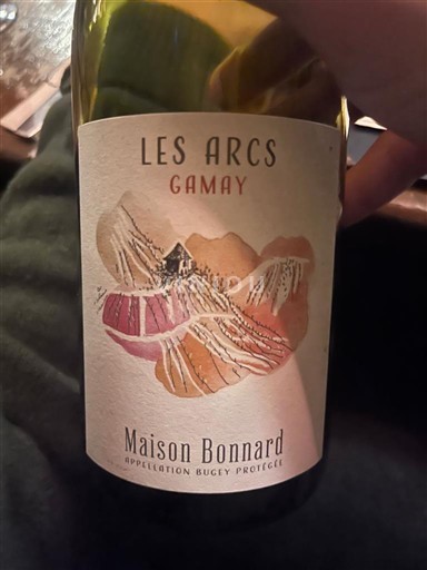 Savoja i Bugej Bujej Maison Bonnard Les Arcs 2024