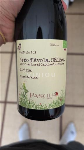 Sicília Pasqua Capitolo 102 2021
