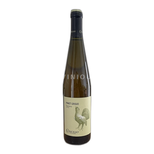 Trentino-Alto Adige Không được chỉ định Concilio Pinot Grigio 2014