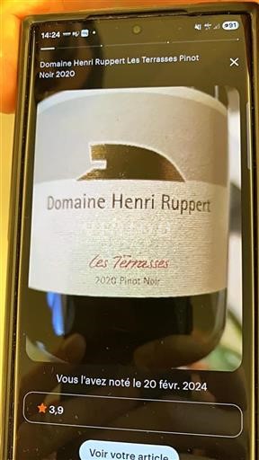 Alsasko Rulandské modré Domaine Henri Ruppert Les Terrasses 2020