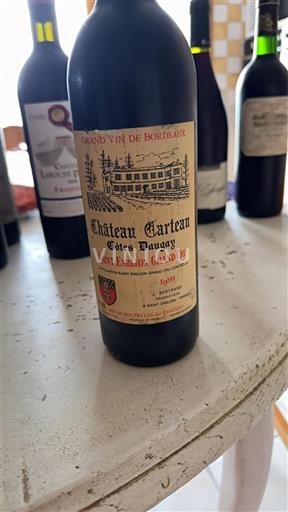 Burdeos Saint-Émilion Gran Cru Grand Cru Carteau C%c3%b4tes Daugay 1989
