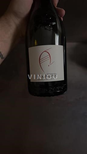 Rhônen laakso Määrittelemätön Domaine Poulvarel 2022