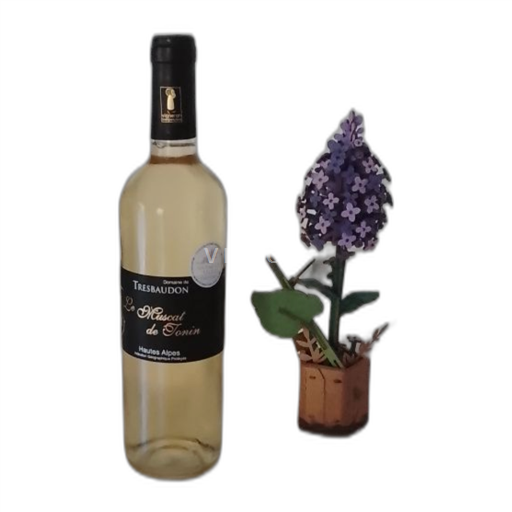 Provence, Lower Rhône Valley, Corsica Hautes-Alpes Domaine Tresbaudon Le Muscat de Tonin Non-Vintage