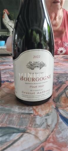 Bourgogne Grossot Anthony Pinot Noir 2022
