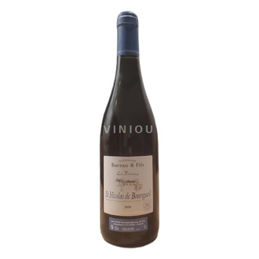 Valle della Loira Saint-Nicolas-De-Bourgueil Domaine bureau et fils 2020
