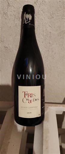 Loiretal Saumur-Champigny Thierry Germain Terres Chaudes 2019