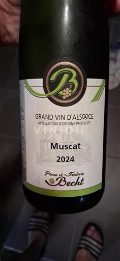 Alsace Grand Cru Château Pierre et Frédéric Becht 2024