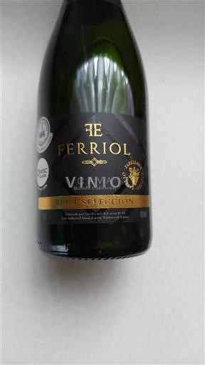 Katalonien Ospecificerad Ferriol Brut Selección Icke årgångsbetecknad
