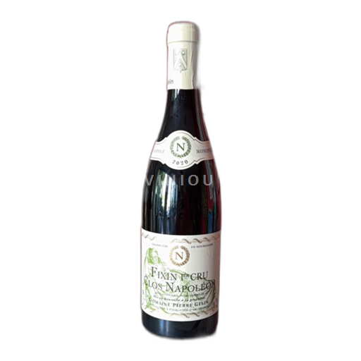 Bourgondië Fixin Premier Cru Domaine Pierre Gelin Clos Napol%c3%a9on 2020
